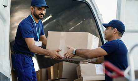 Delivery & Ongoing Support